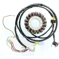 ELECTROSPORT Stator - für: Polaris Sportsman 450/500 für SPORTSMAN450, SPORTSMAN500