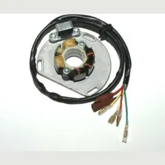 ELECTROSPORT Stator - für: KTM für 125EXC, 125SUPERMOTO, 125SX