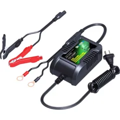 SKYRICH Battery Charger 12V 2Ah 5221