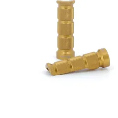 V PARTS Racing Fußrasten gold