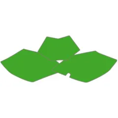 BLACKBIRD Plate Stickers Green for: Beta RR for RR1254TENDURO, RR1254TMOTARD, RR3504TENDURO