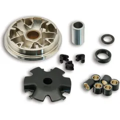 MALOSSI Multivar Variator for: Honda 4T