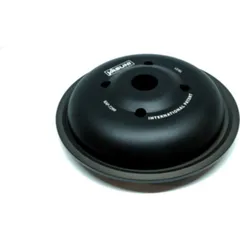 YASUNI Axial 4T Variator - für Honda 125 Forza Euro 5 NSS125FORZA