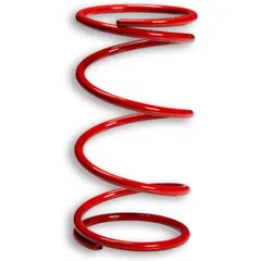 MALOSSI Racing Compression Spring
