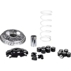 MALOSSI Multivar 2000 Variator für Honda NSS125FORZA, PCX125, SH125I