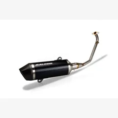 MALOSSI RX Full Exhaust System Aluminium/Carbon - for: Honda SH 125 for SH125I