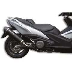 MALOSSI Wild Lion Silencer Aluminium/Carbon - for: Kymco Xciting 400 for AK550
