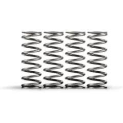 HINSON High-Temp Clutch Springs Box of 5 - für Honda CRF250R