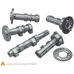 HOT CAMS Camshaft Intake - Stage 2 for: Yamaha WR450F
