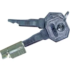 Brinkmatic security lock