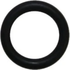 SPX O-Ring 2031