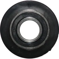 Bearing roller ahs 46x17