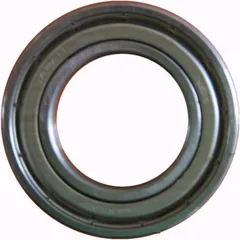 Roller bearing 6017