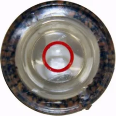 oil standseye 1/2