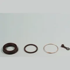 Brake caliper repair kit BCF201