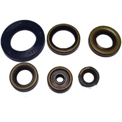 Engine oil seal kit