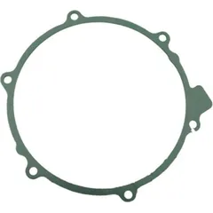 Generator cover gasket S410210149010