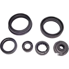 Engine oil seal kit P400510400045