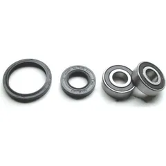 Wheel bearing and seal kit WBK124