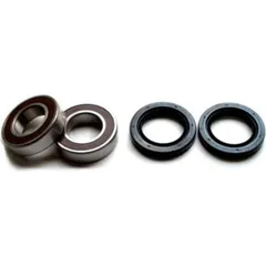 Wheel bearing and seal kit WBK211