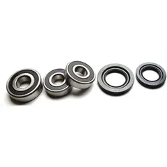Wheel bearing and seal kit WBK252