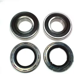 Wheel bearing and seal kit WBK303