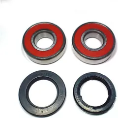 Wheel bearing and seal kit WBK309
