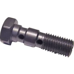 Banjo bolt double m10x1.25 anthracite