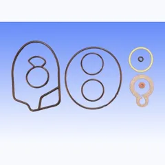 Gasket kit dellorto