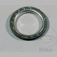 Exhaust gasket S410210012021