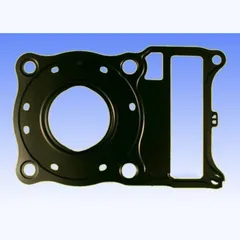 Cylinder head gasket S410210001209