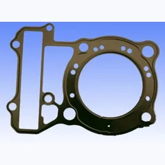 Cylinder head gasket S410210001084