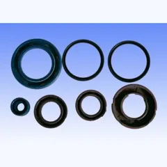 Engine oil seal kit P400480400059