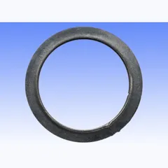 Exhaust pipe gasket / manifold