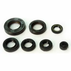 Engine oil seal kit OSL101