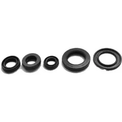 Engine oil seal kit OSL230