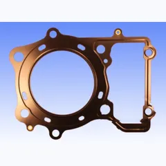 Cylinder head gasket rear cyl