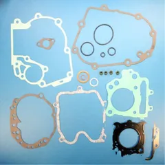 Complete gasket / seal kit P400420850014