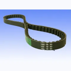 Drive belt 18.0 x 788 std