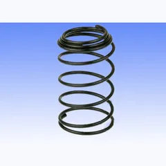 Spring for oil screen