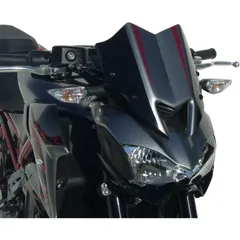 Headlight cover - green for: KAWASAKI Z900 ZR900B/D