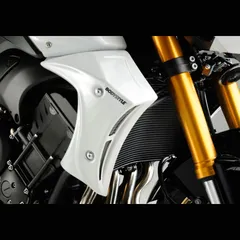 Kühlerseitenverkleidung - unlackiert Kühlerseitenschutz für: YAMAHA FZ8 RN25