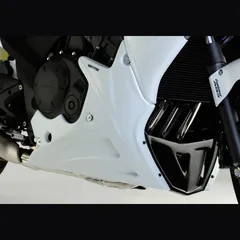 Unterteilverkleidung - schwarz für: HONDA CBF1000F SC64