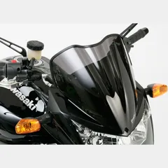 Naked bike screen for: KAWASAKI Z750 ZR750L