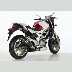 Supersport Slip on Ersatzdämpfer Super Short Auspuff für: SUZUKI Gladius 650 WVCX