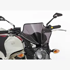 Naked bike screen for: SUZUKI Gladius 650 WVCX