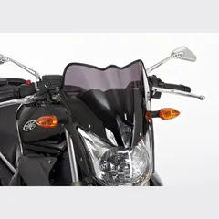 Naked bike screen for: YAMAHA XJ6 RJ19/RJ22