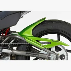 Hinterradabdeckung - grün Kotflügel für: KAWASAKI ER-6f EX650E, ER-6n ER650E
