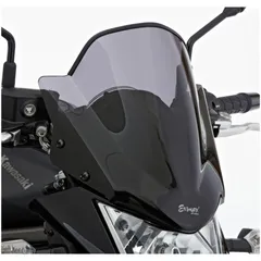 Naked bike screen for: KAWASAKI ER-6n ER650E