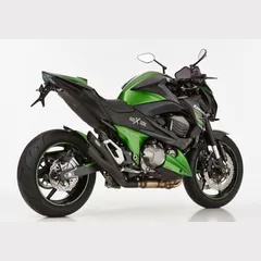 Pro 2 Slip on Ersatzdämpfer - schwarz-matt Auspuff für: KAWASAKI Z800e ZR800C/D